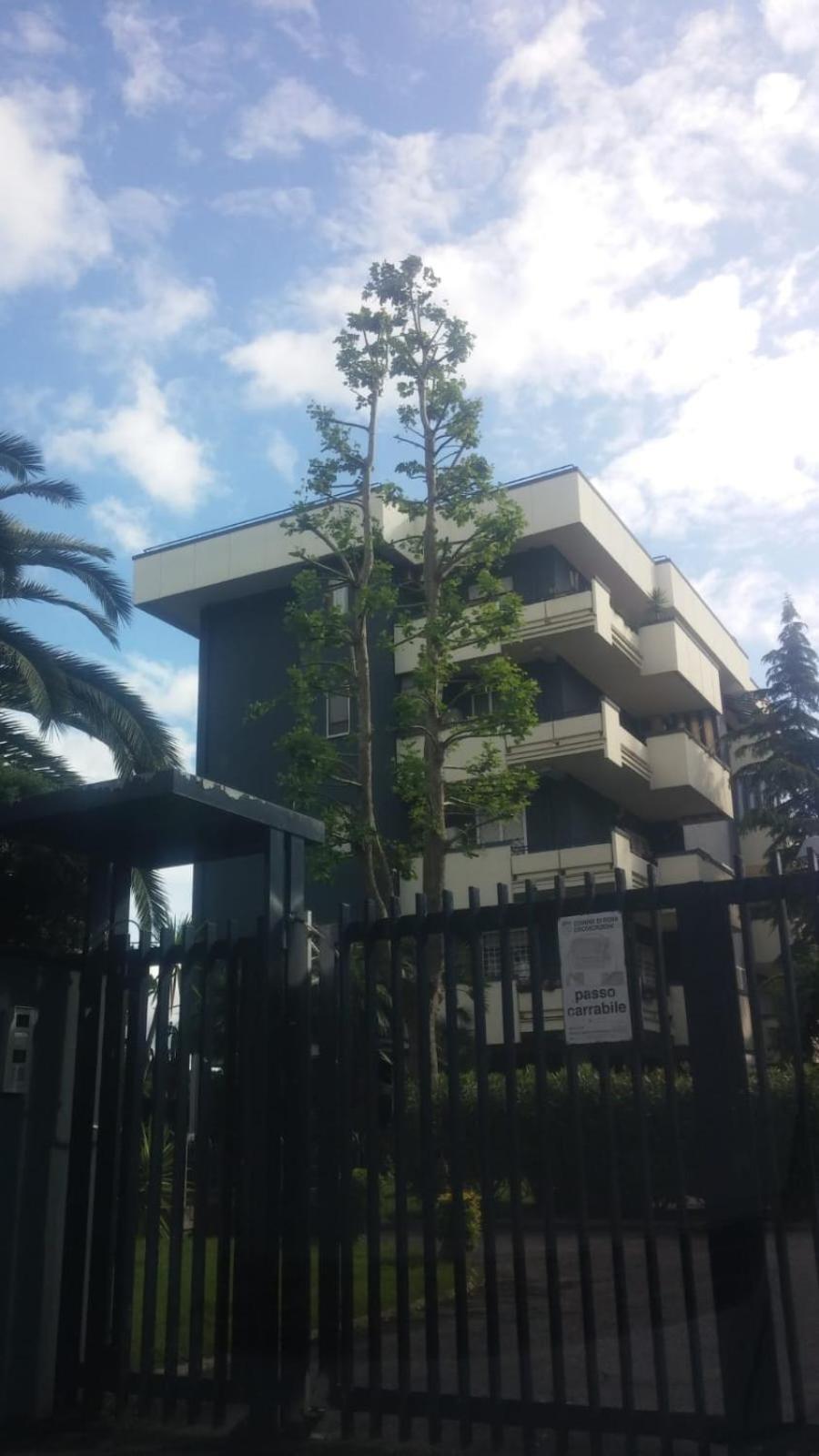 Apartamento Casa Giordano Roma Exterior foto